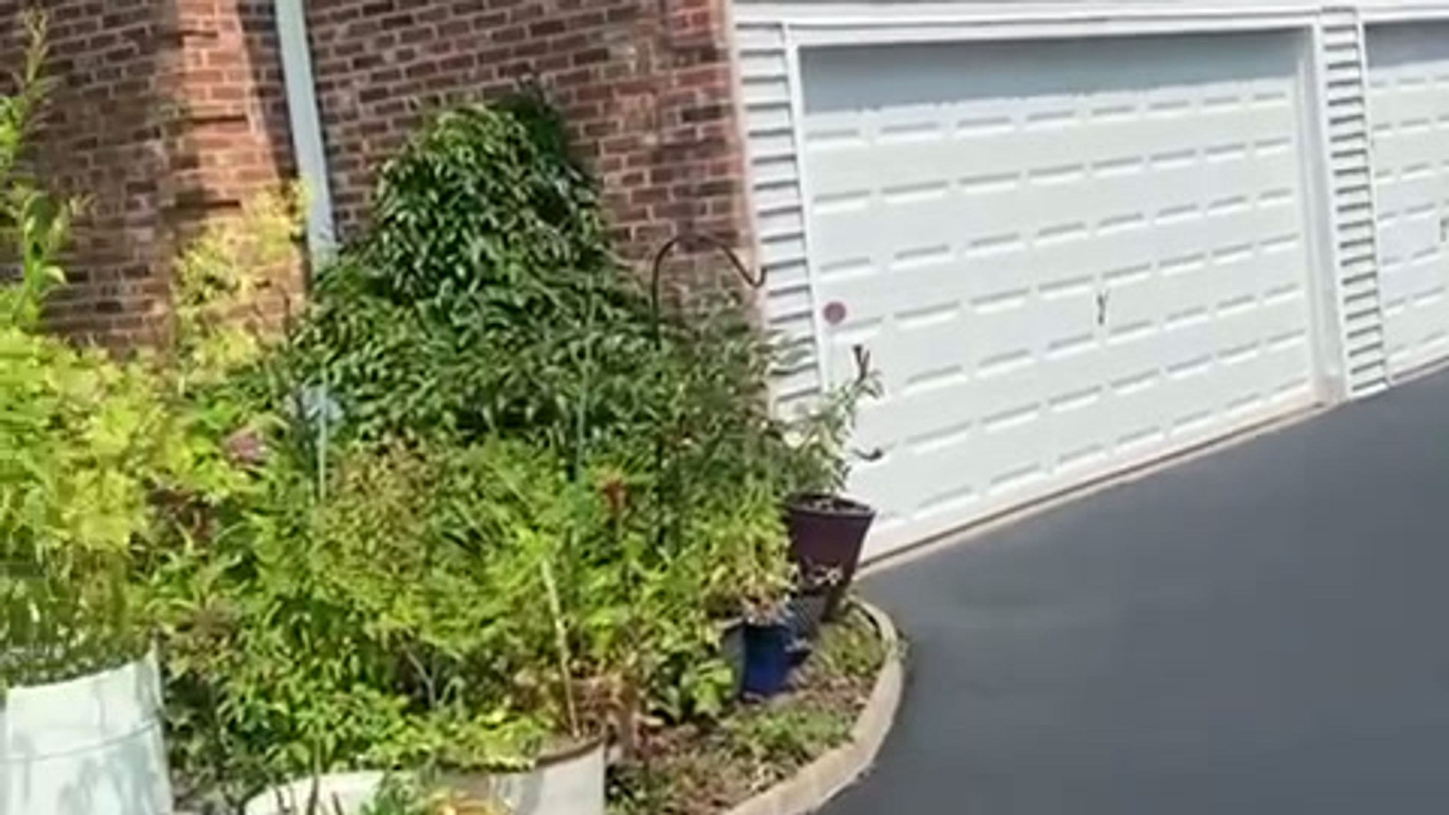 Sealcoating Videos
